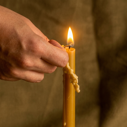 Velas de cera de abeja